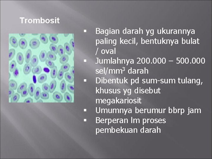 Trombosit § Bagian darah yg ukurannya paling kecil, bentuknya bulat / oval § Jumlahnya