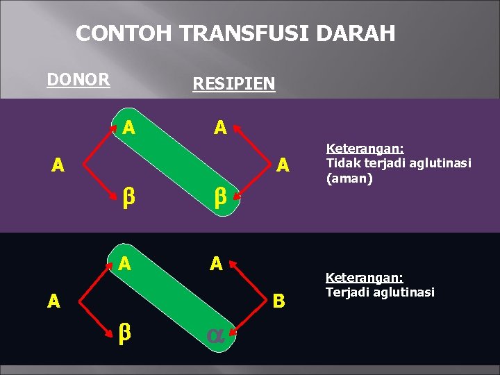 CONTOH TRANSFUSI DARAH DONOR RESIPIEN A A A B Keterangan: Tidak terjadi aglutinasi (aman)