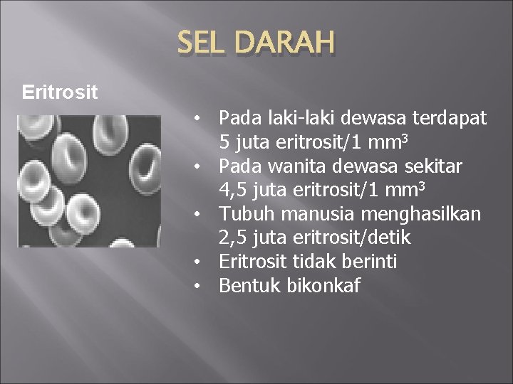 SEL DARAH Eritrosit • Pada laki-laki dewasa terdapat 5 juta eritrosit/1 mm 3 •