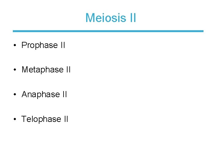 Meiosis II • Prophase II • Metaphase II • Anaphase II • Telophase II