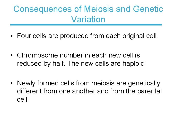 Consequences of Meiosis and Genetic Variation • Four cells are produced from each original