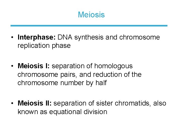 Meiosis • Interphase: DNA synthesis and chromosome replication phase • Meiosis I: separation of