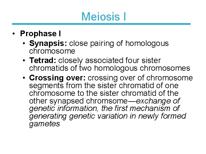 Meiosis I • Prophase I • Synapsis: close pairing of homologous chromosome • Tetrad: