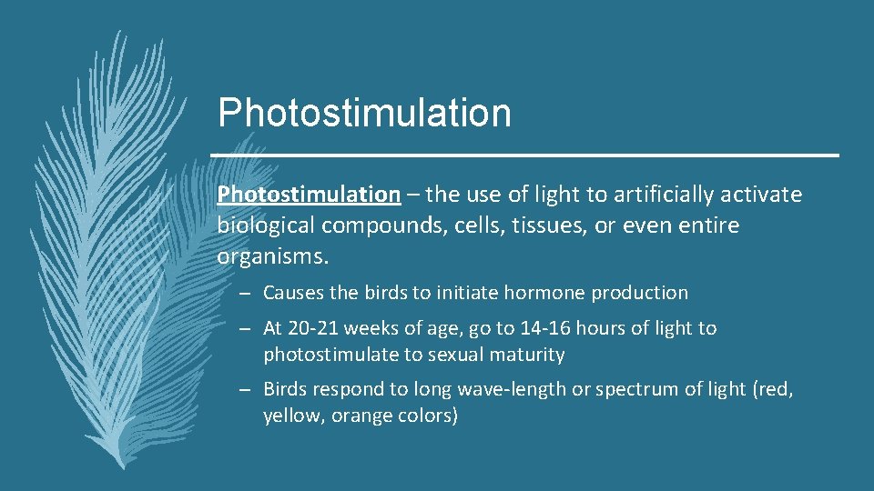 Photostimulation – the use of light to artificially activate biological compounds, cells, tissues, or