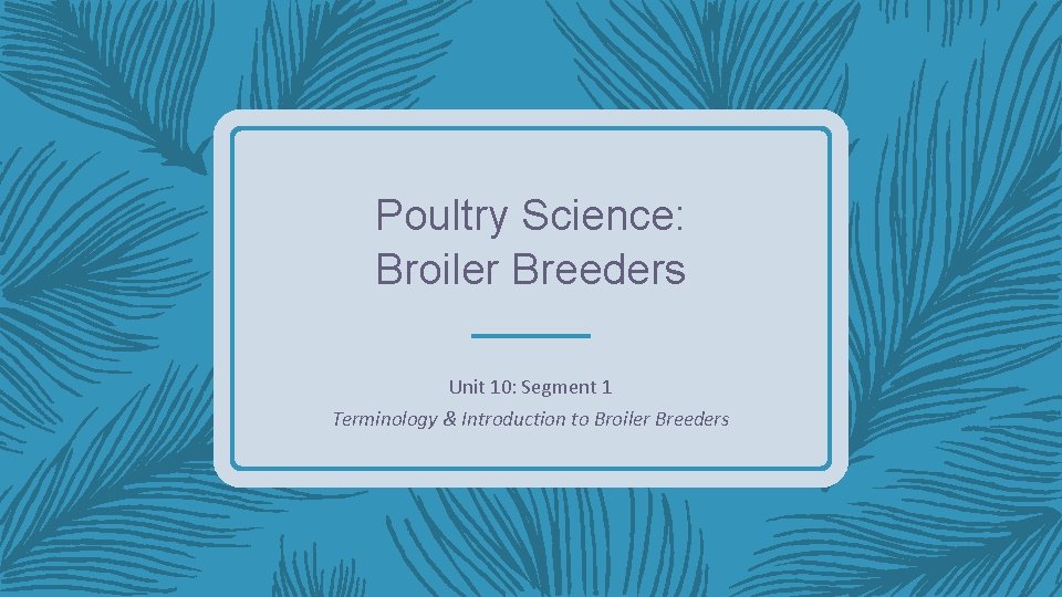 Poultry Science: Broiler Breeders Unit 10: Segment 1 Terminology & Introduction to Broiler Breeders