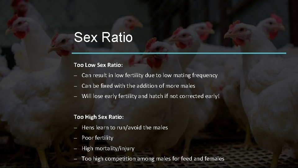 Sex Ratio Too Low Sex Ratio: – Can result in low fertility due to