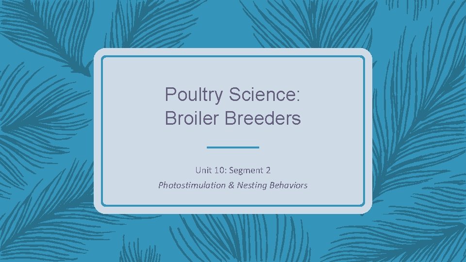 Poultry Science: Broiler Breeders Unit 10: Segment 2 Photostimulation & Nesting Behaviors 