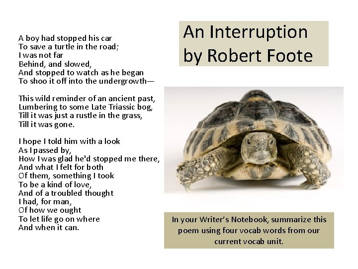 A boy had stopped his car To save a turtle in the road; I