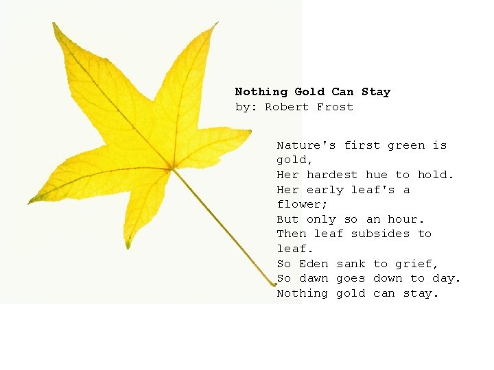 Nothing Gold Can Stay by: Robert Frost Nature's first green is gold, Her hardest