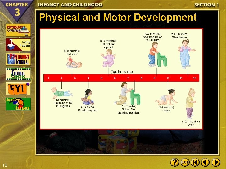 Physical and Motor Development 10 