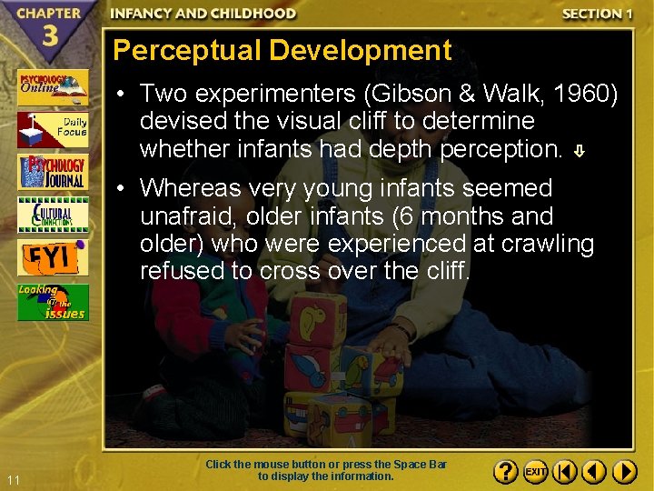Perceptual Development • Two experimenters (Gibson & Walk, 1960) devised the visual cliff to