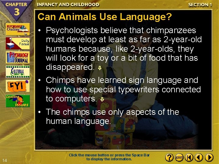 Can Animals Use Language? • Psychologists believe that chimpanzees must develop at least as