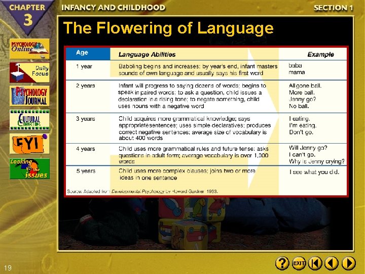 The Flowering of Language 19 