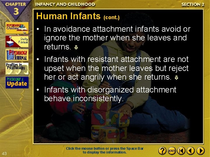 Human Infants (cont. ) • In avoidance attachment infants avoid or ignore the mother