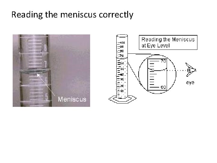 Reading the meniscus correctly 