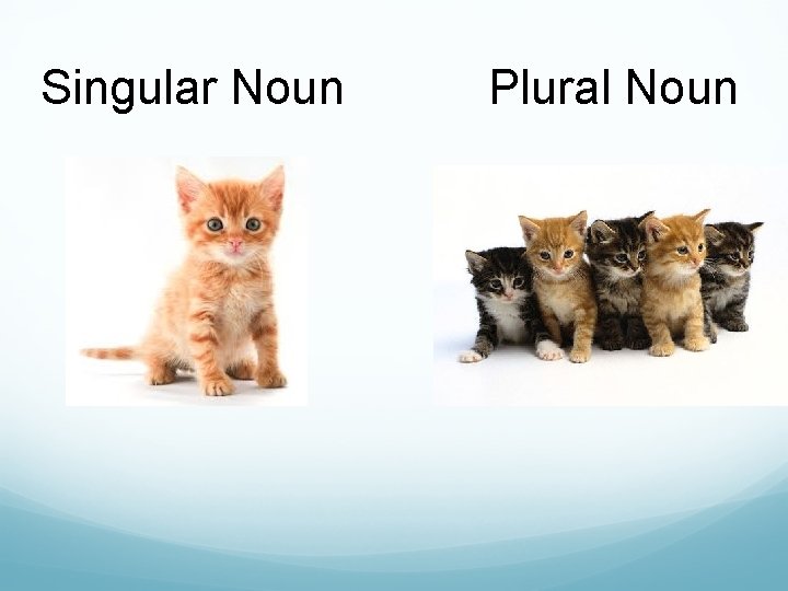 Singular Noun Plural Noun 