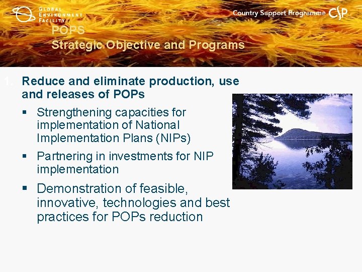POPS Strategic Objective and Programs 1. Reduce and eliminate production, use and releases of