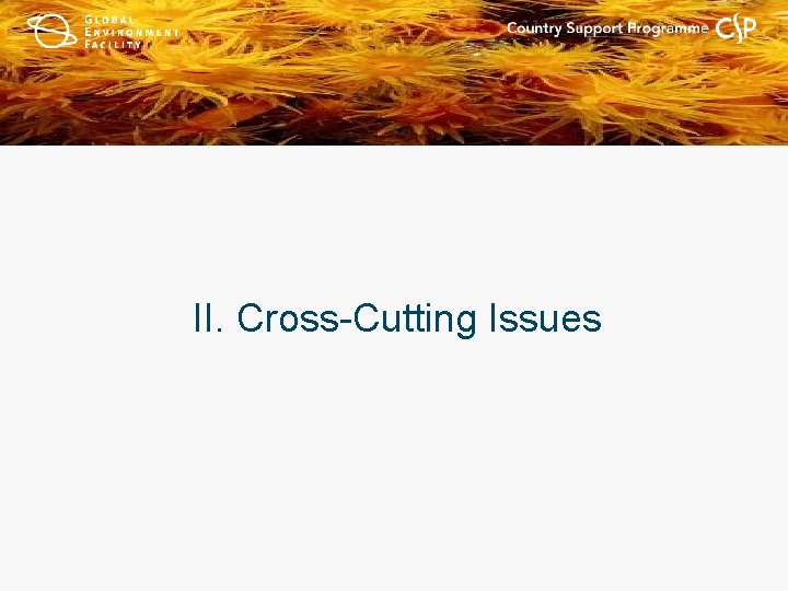 II. Cross-Cutting Issues 