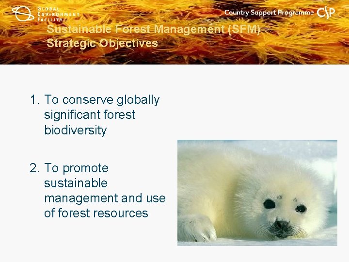 Sustainable Forest Management (SFM) Strategic Objectives 1. To conserve globally significant forest biodiversity 2.