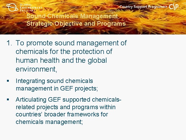 Sound Chemicals Management Strategic Objective and Programs 1. To promote sound management of chemicals