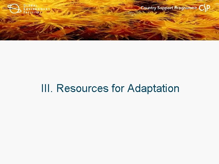 III. Resources for Adaptation 