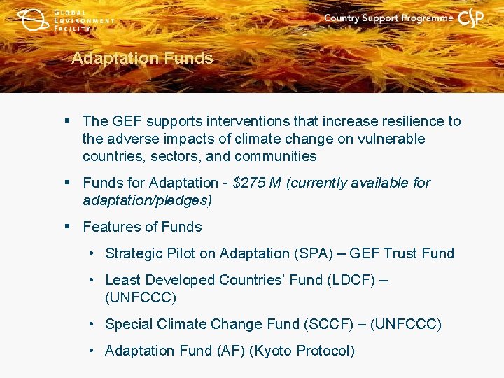Adaptation Funds § The GEF supports interventions that increase resilience to the adverse impacts
