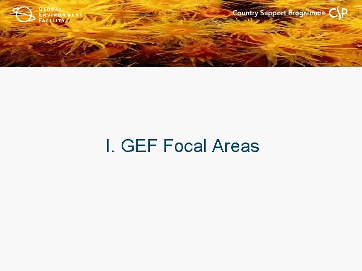 I. GEF Focal Areas 