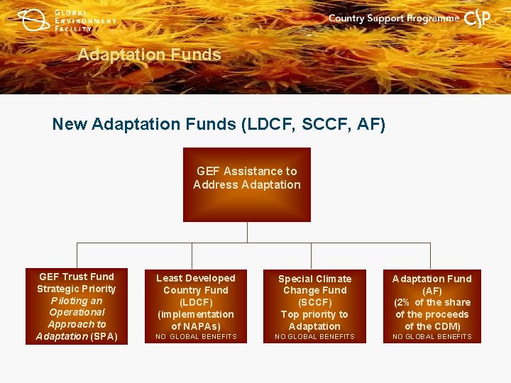 Adaptation Funds New Adaptation Funds (LDCF, SCCF, AF) GEF Assistance to Address Adaptation GEF