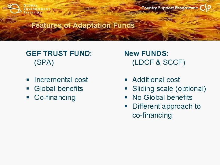 Features of Adaptation Funds GEF TRUST FUND: (SPA) New FUNDS: (LDCF & SCCF) §