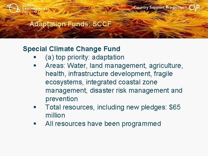 Adaptation Funds: SCCF Special Climate Change Fund § (a) top priority: adaptation § Areas: