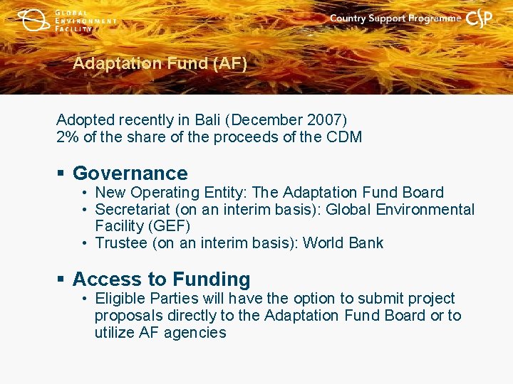 Adaptation Fund (AF) Adopted recently in Bali (December 2007) 2% of the share of