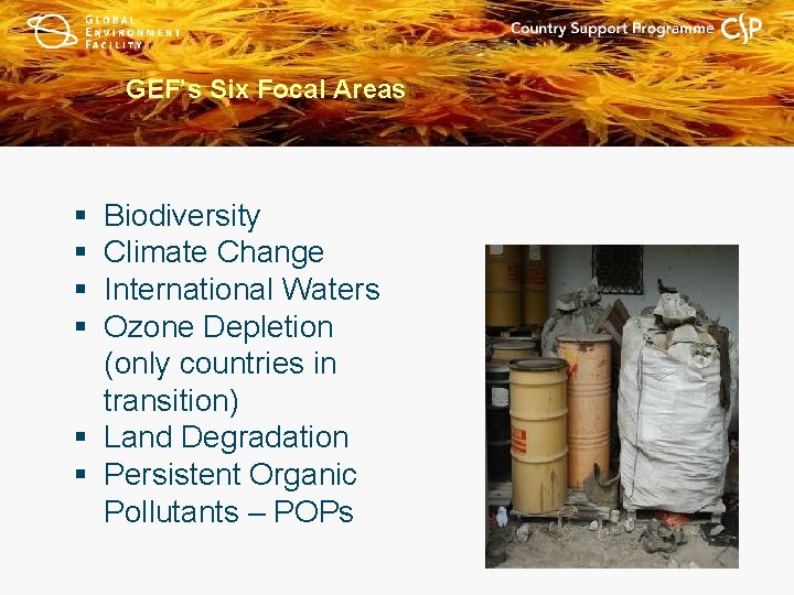 GEF’s Six Focal Areas § § Biodiversity Climate Change International Waters Ozone Depletion (only