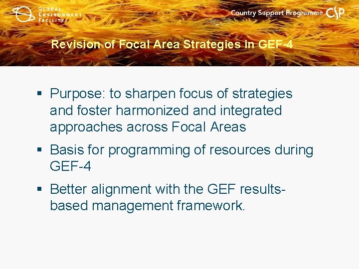 Revision of Focal Area Strategies in GEF-4 § Purpose: to sharpen focus of strategies