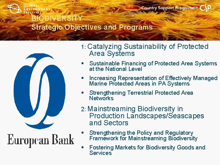 BIODIVERSITY Strategic Objectives and Programs 1: Catalyzing Sustainability of Protected Area Systems § Sustainable