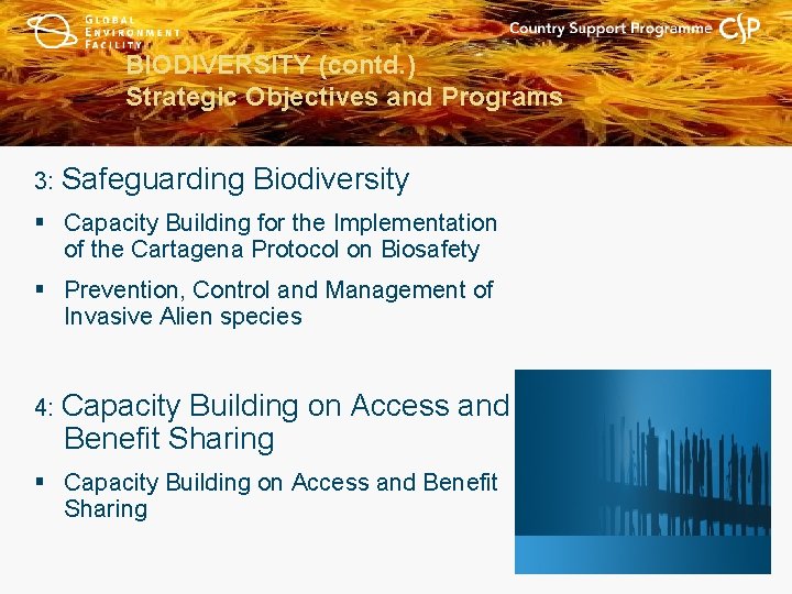 BIODIVERSITY (contd. ) Strategic Objectives and Programs 3: Safeguarding Biodiversity § Capacity Building for