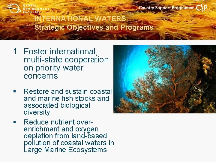 INTERNATIONAL WATERS Strategic Objectives and Programs 1. Foster international, multi-state cooperation on priority water