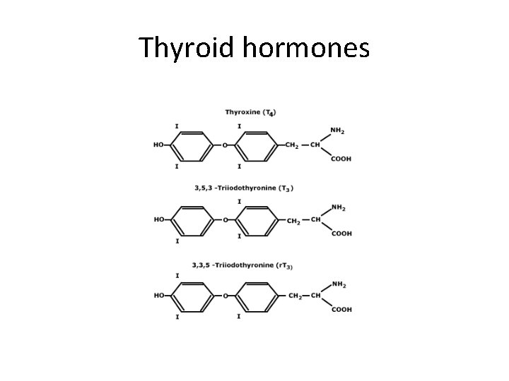 Thyroid hormones 