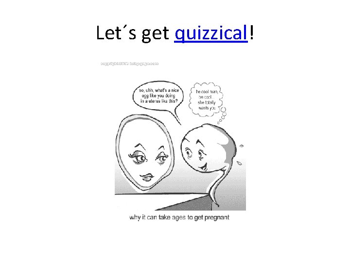 Let´s get quizzical! 