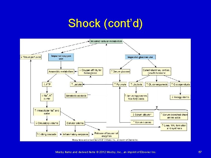 Shock (cont’d) Mosby items and derived items © 2012 Mosby, Inc. , an imprint