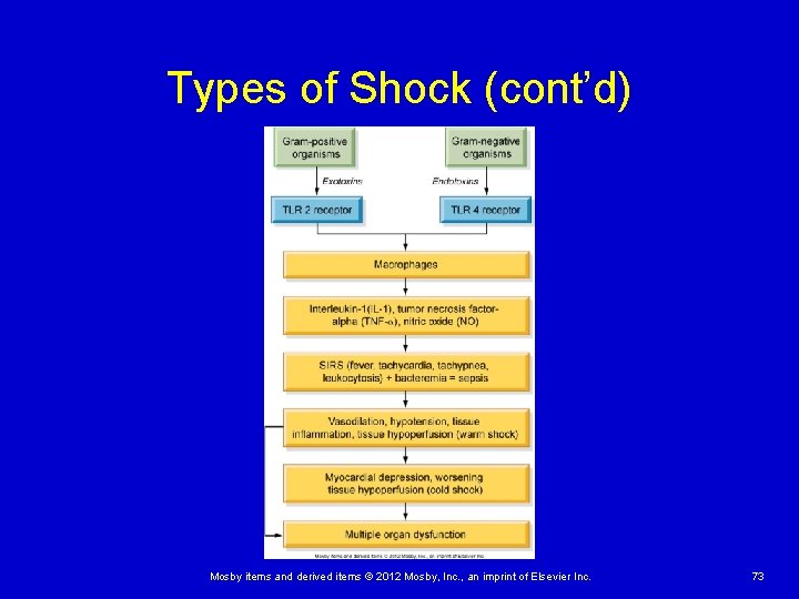Types of Shock (cont’d) Mosby items and derived items © 2012 Mosby, Inc. ,