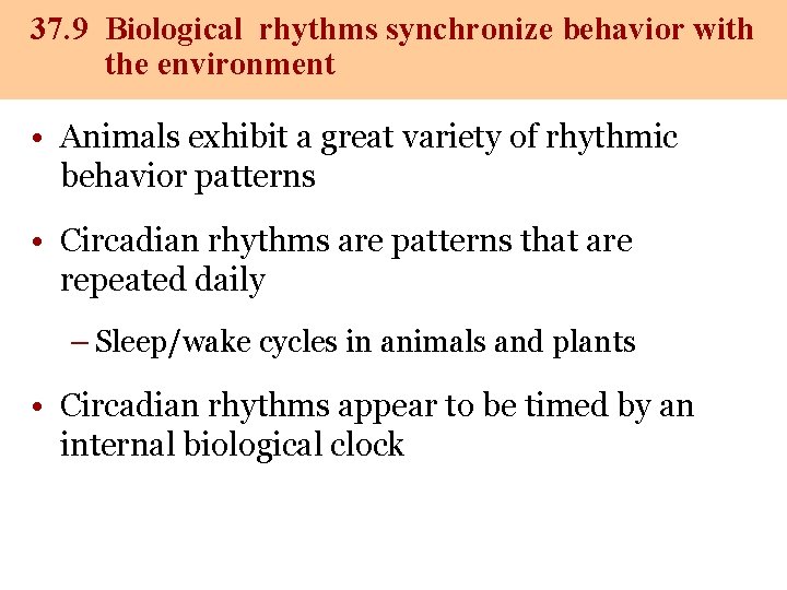 37. 9 Biological rhythms synchronize behavior with the environment • Animals exhibit a great