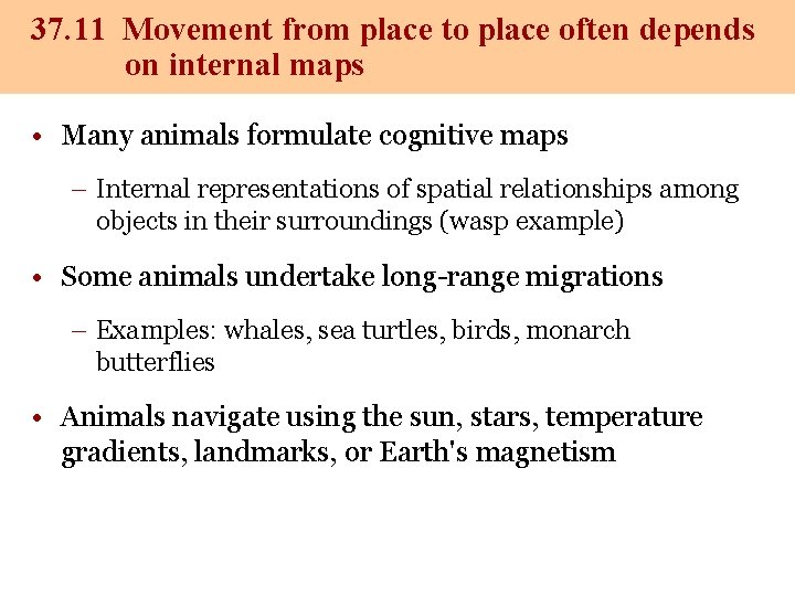 37. 11 Movement from place to place often depends on internal maps • Many