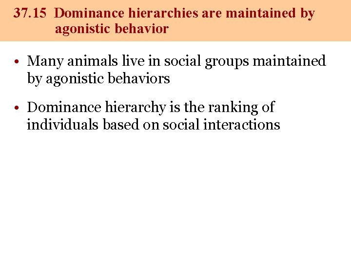 37. 15 Dominance hierarchies are maintained by agonistic behavior • Many animals live in