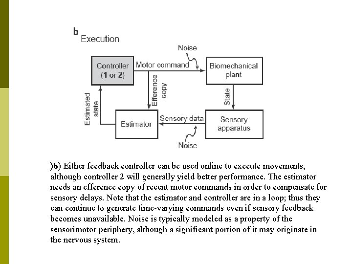 )b) Either feedback controller can be used online to execute movements, although controller 2