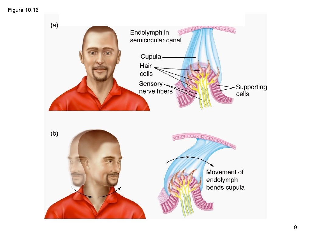 Figure 10. 16 9 