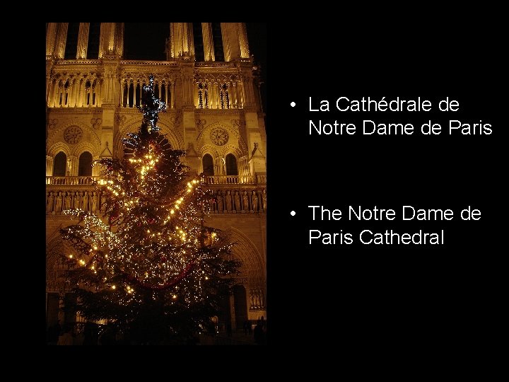  • La Cathédrale de Notre Dame de Paris • The Notre Dame de