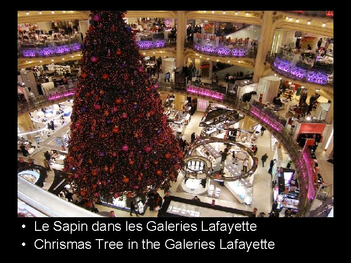  • Le Sapin dans les Galeries Lafayette • Chrismas Tree in the Galeries