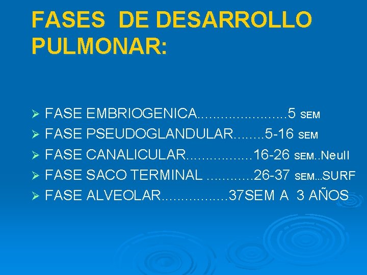 FASES DE DESARROLLO PULMONAR: FASE EMBRIOGENICA. . . 5 SEM Ø FASE PSEUDOGLANDULAR. .