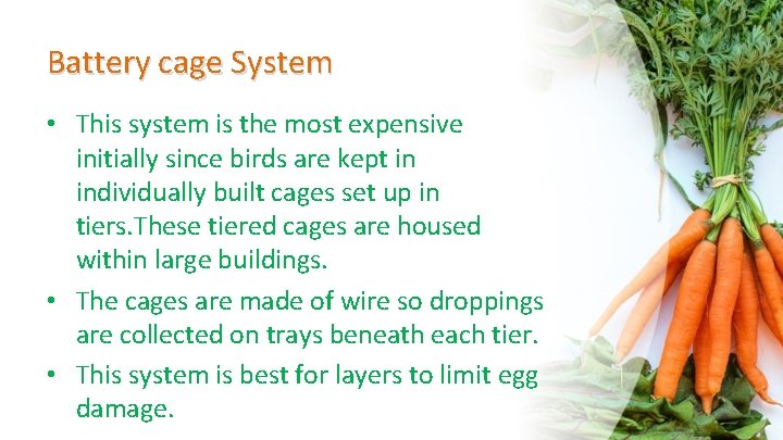 Battery cage System • This system is the most expensive initially since birds are