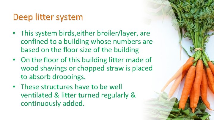 Deep litter system • This system birds, either broiler/layer, are confined to a building
